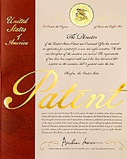 Pioneer Concepts U.S. Patent 1